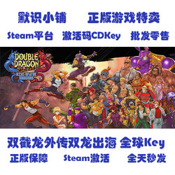 Steam Genuine Double Dragon Gaiden Global Cdkey