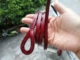 Red TZH005