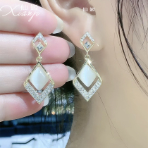 925 Silver high end earrings big luxury style fashion only one - pitch ear crash high - sensitive diamond ear decoration