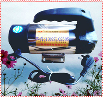 Hongpai diesel pump Shanghai 220V12V24V120w oil pump coal pump oil pump oil pump self-priming oil pump