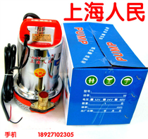 12V24V48V60V marine submersible pump Shanghai DC pump battery car pump electric vehicle pump