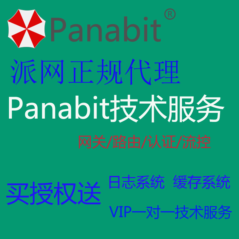 Panabit Routing Gateway ixcache Cache panalog Log Technical Support Debug Service