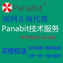 Panabit routing gateway ixcache cache panalog log technical support debugging services