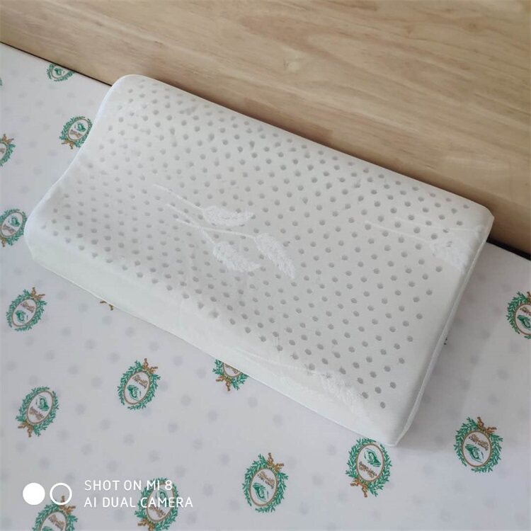Inner sleeve inner bag dust-proof protective cover ten thousand latex pillow inner bag adult children baby inner sleeve