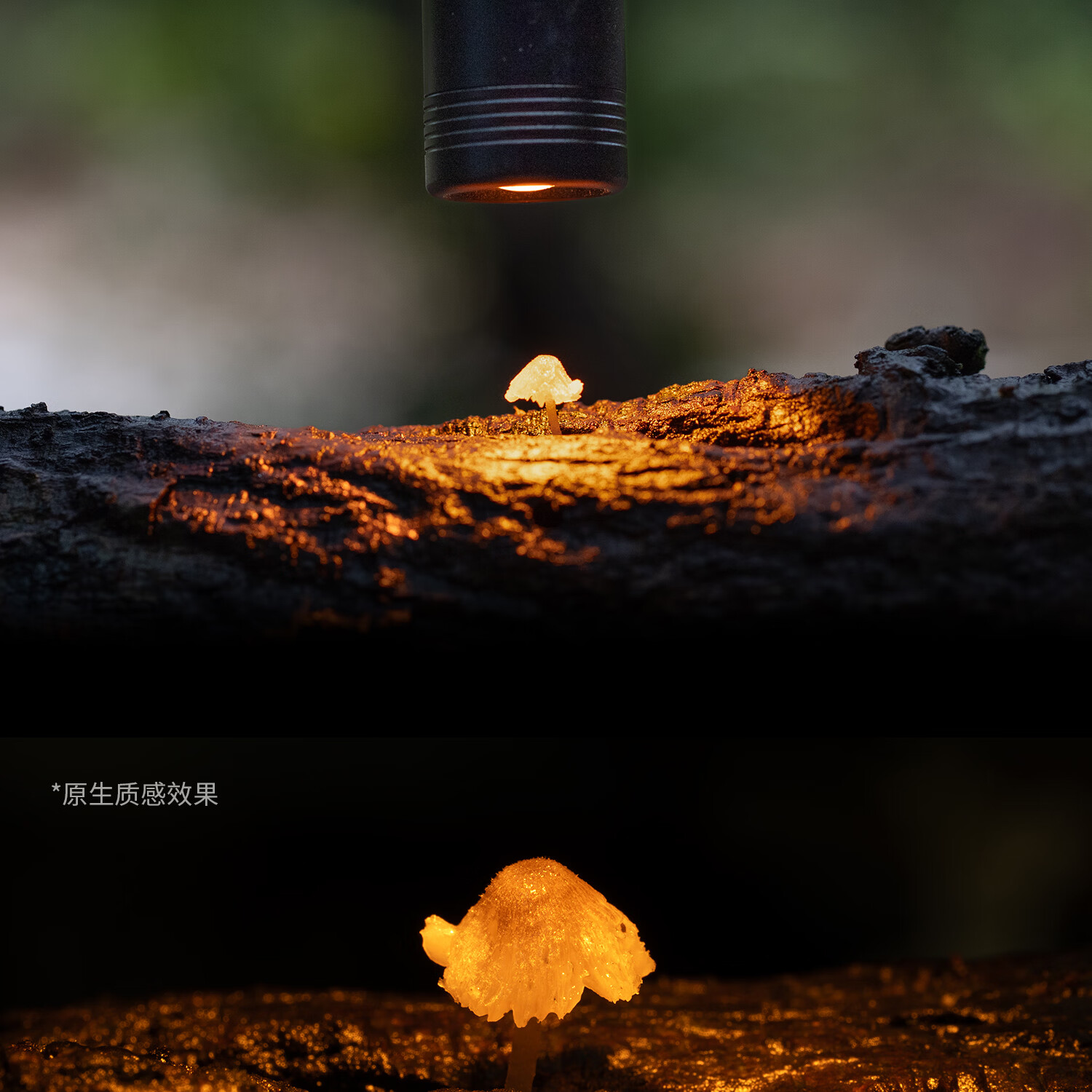 SmallRig 6225 RM 01B Mini Macro Photography LED Light 微距補光燈 圖文描述 08