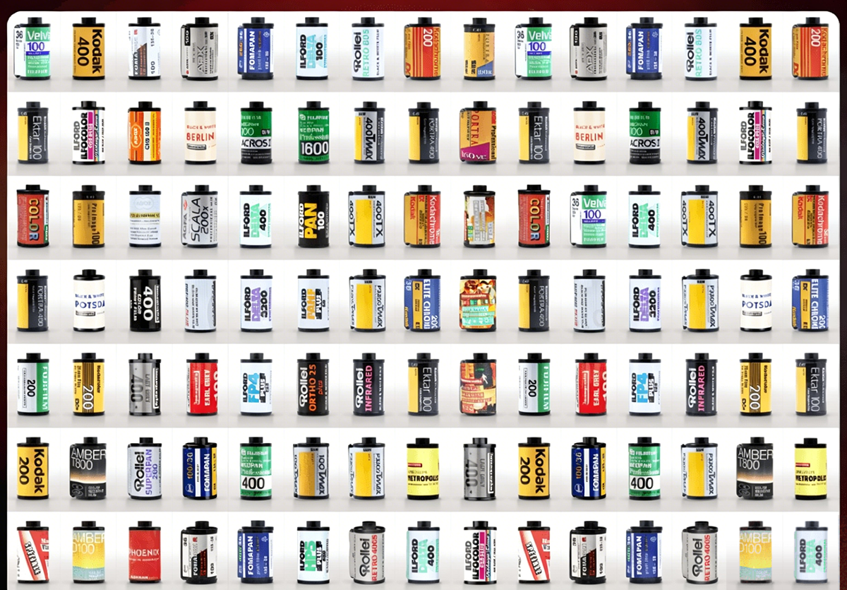 fp (4).png