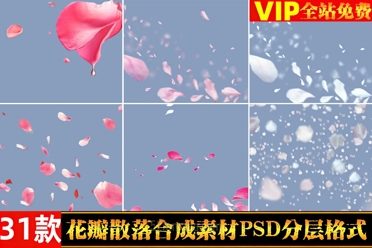 【PSD】粉色樱花桃花玫瑰花瓣飘落洒落散落婚纱摄影写真照片合成PSD素材