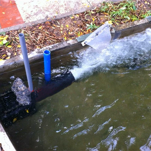 Толкание насоса насоса кислород и водный толкатель взрыв газосиогиогиогитоки толкают водную машину рыбную коляду пруда.