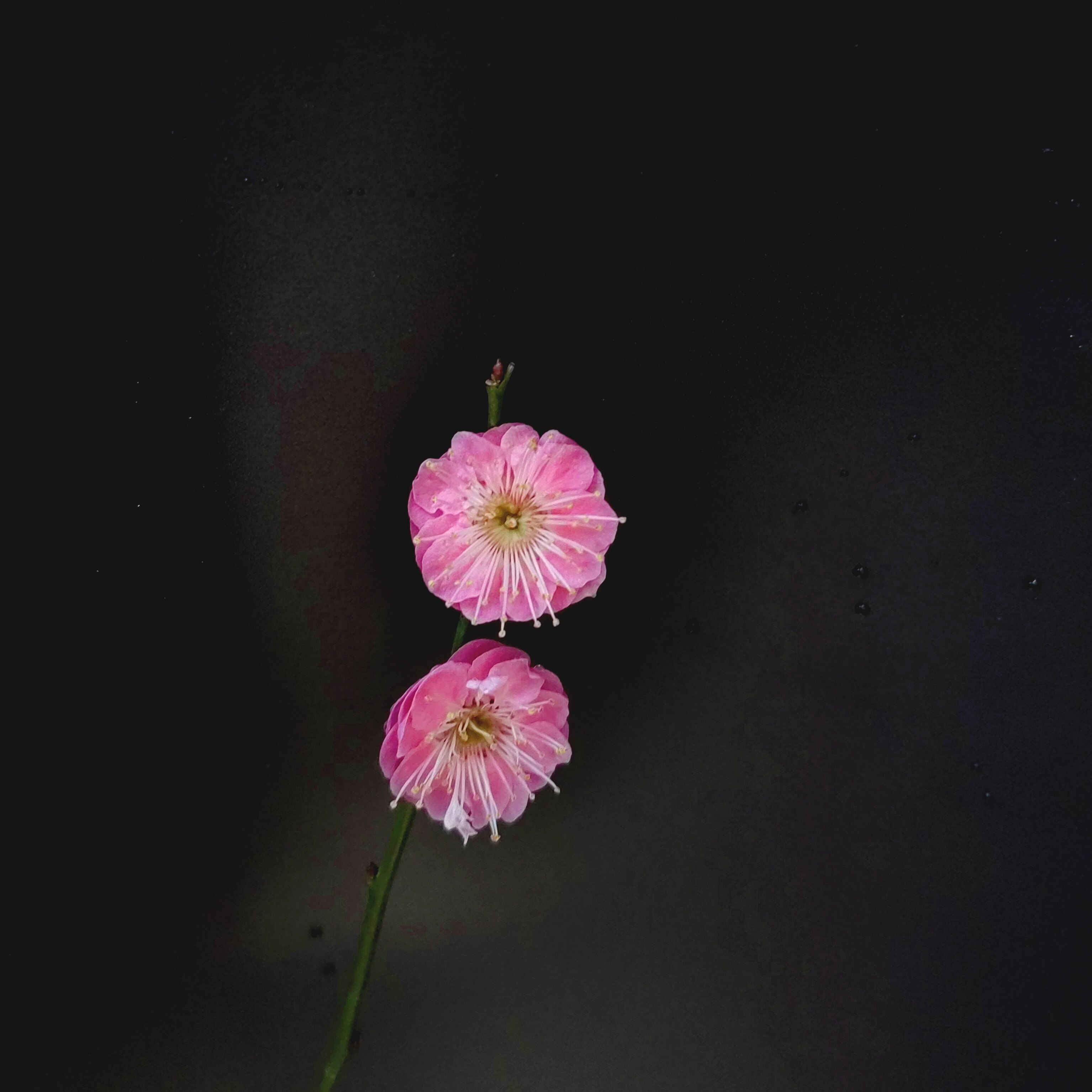 熊三的熏香铺