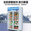 Star Refrigerator Beverage Cabinet Convenience Store Refrigerated Display Cabinet Supermarket Commercial Refrigerator Vertical Display Freezer