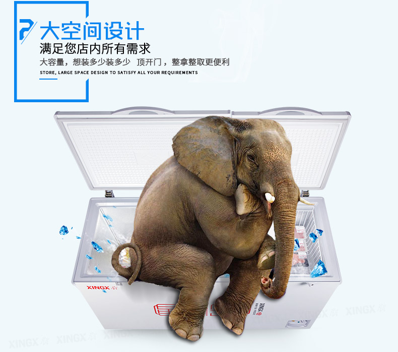 Tủ đông lớn XINGX / Star BD / BC-519E Tủ đông thương mại Tủ đông lớn Tủ lạnh lớn Tủ lạnh đơn nhiệt độ ngang tủ trữ đông sữa