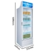 Tủ lạnh Star LSC-235C tủ trưng bày tủ đồ uống tủ lạnh tủ lưu trữ tủ thương mại dọc tủ đông lớn - Tủ đông