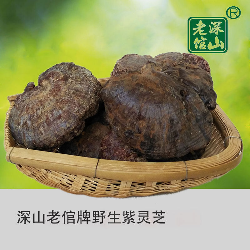 Shenshan Old Groom brand wild purple Zhi Purple Ganoderma lucidum cut Ganoderma lucidum tablets 500g This year's new whole purple zhi