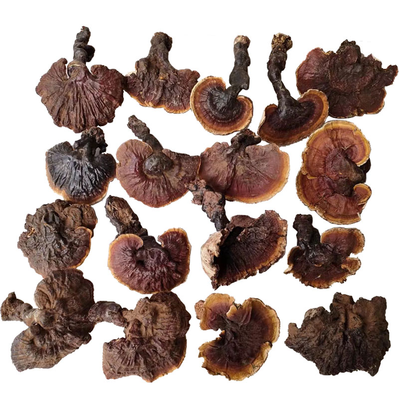 Double Crown Credibility Deep Mountain Veteran Tibetan Wild White Heart White Lucid Lucid Lucid and Lucid Lucid Lingzhi Powder Lingzhi powder 50 gr