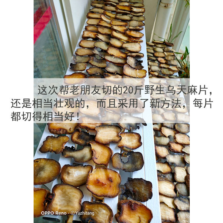 Wutian MA Film 1.jpg