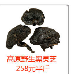 Jiugongge Group_03.jpg