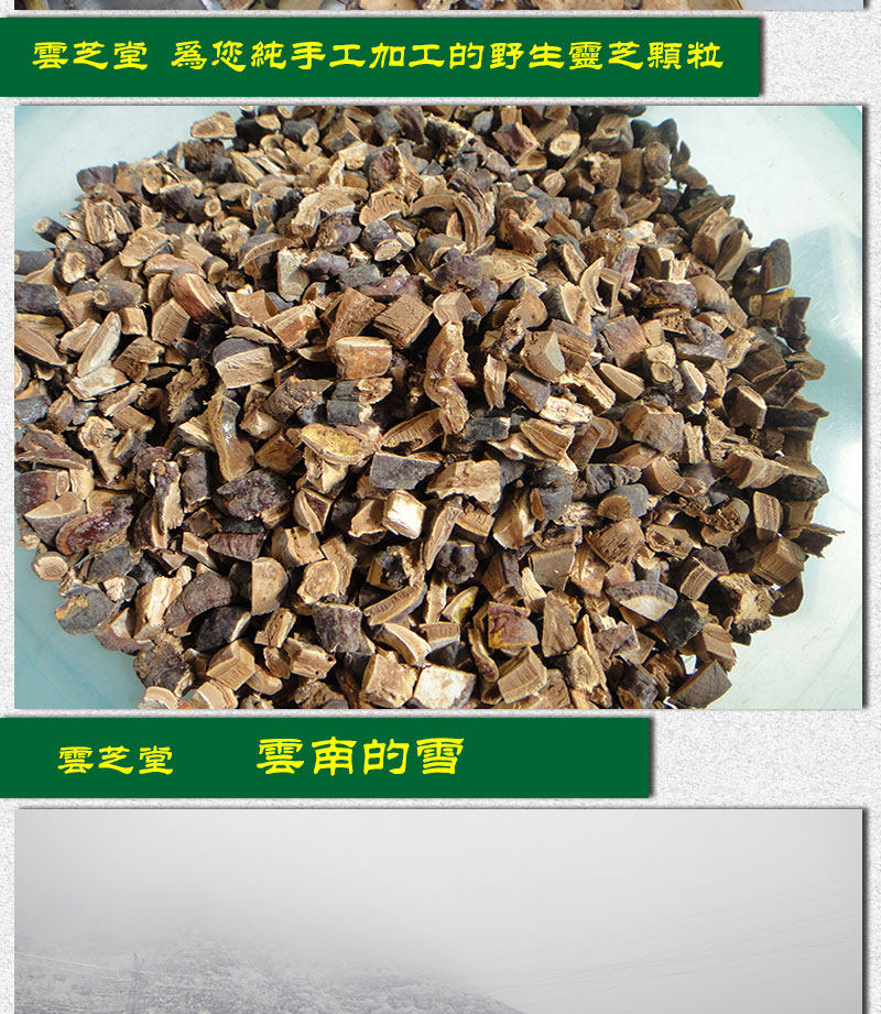 Описание Ganoderma 1_18