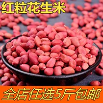 Peanuts Red Peanut Peanuts Bulk Farmers Small Peanuts Raw Peanuts New Peanuts 250g