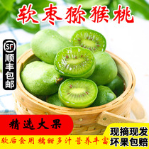 Kiwi Aroma Sweet Soft Glutinous Exotic Berry Soft Date Kiwi Fruit Peach Pregnant pregnant with fresh fruit round date Zaozi