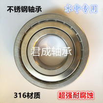 Stainless steel bearing 316 material S6200 6201 6202 6203 6204 6205 6206 6207ZZ