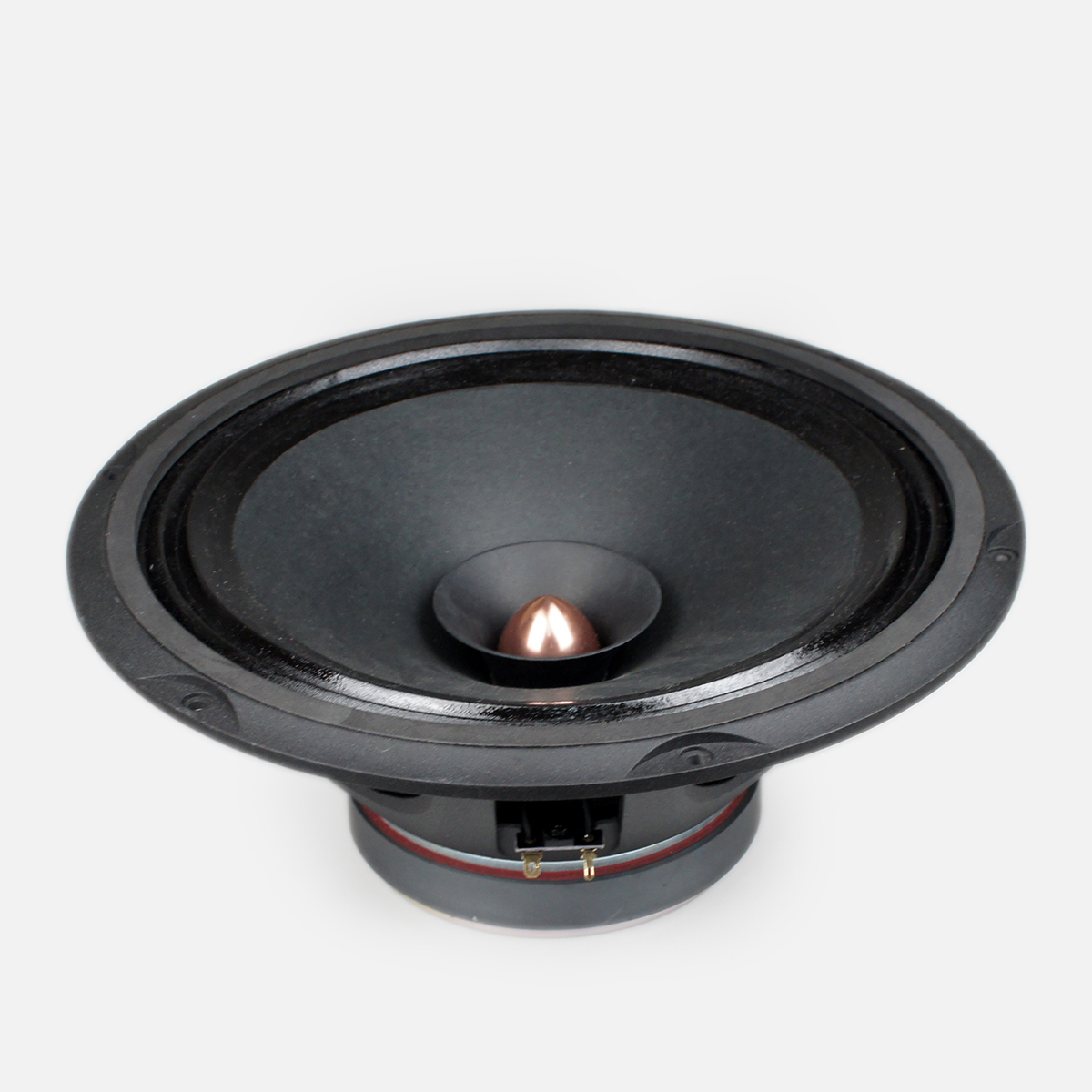 Acoustic Rhyme Classic Fever 12 Inch Full Frequency Horn Hifi Non Coaxial Speaker Paper Basin Cloth Side Aluminum Basin Rack Human Acoustic Poison