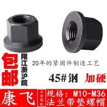 Flange with pad nut with pad nut M10M12M14M16M18M20M22M24M27M30 Heat treatment processing