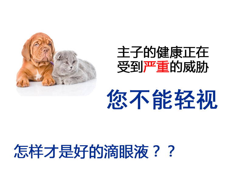 Nino pet dog và cat giọt nước mắt nhỏ mắt glaucoma ngoài nước mắt viêm kết mạc thuốc mỡ mắt chữa bệnh mắt đỏ thuốc nhỏ mắt - Thuốc nhỏ mắt thuốc nhỏ mắt cận thị