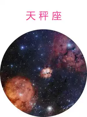 12 Constellation Color Makeup Disc for Japan Sega Star Light PRO Classic Original Flux