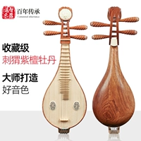 Advanced Hedgehog Rosewood