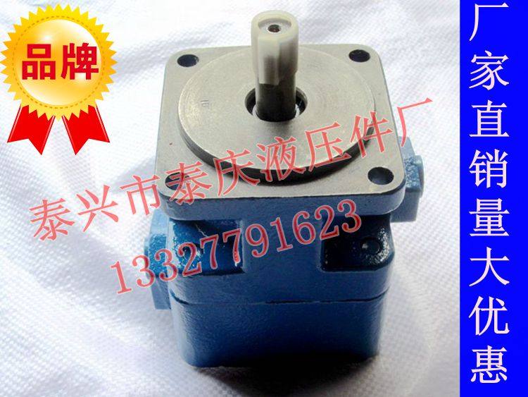 Manufacturer Direct sales Y3180 Rolling tooth machine assorted vane oil pump YB1-63 YB1-80 100125 machine bed accessories