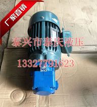 Vane oil pump motor unit YB1-10 6 4 6 3 12 16 25 32 40 50 63 80 100 horizontal