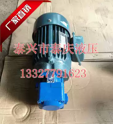 Blade oil pump motor unit YB1-10 6 4 6 3 12 16 25 32 40 50 63 80 100 horizontal