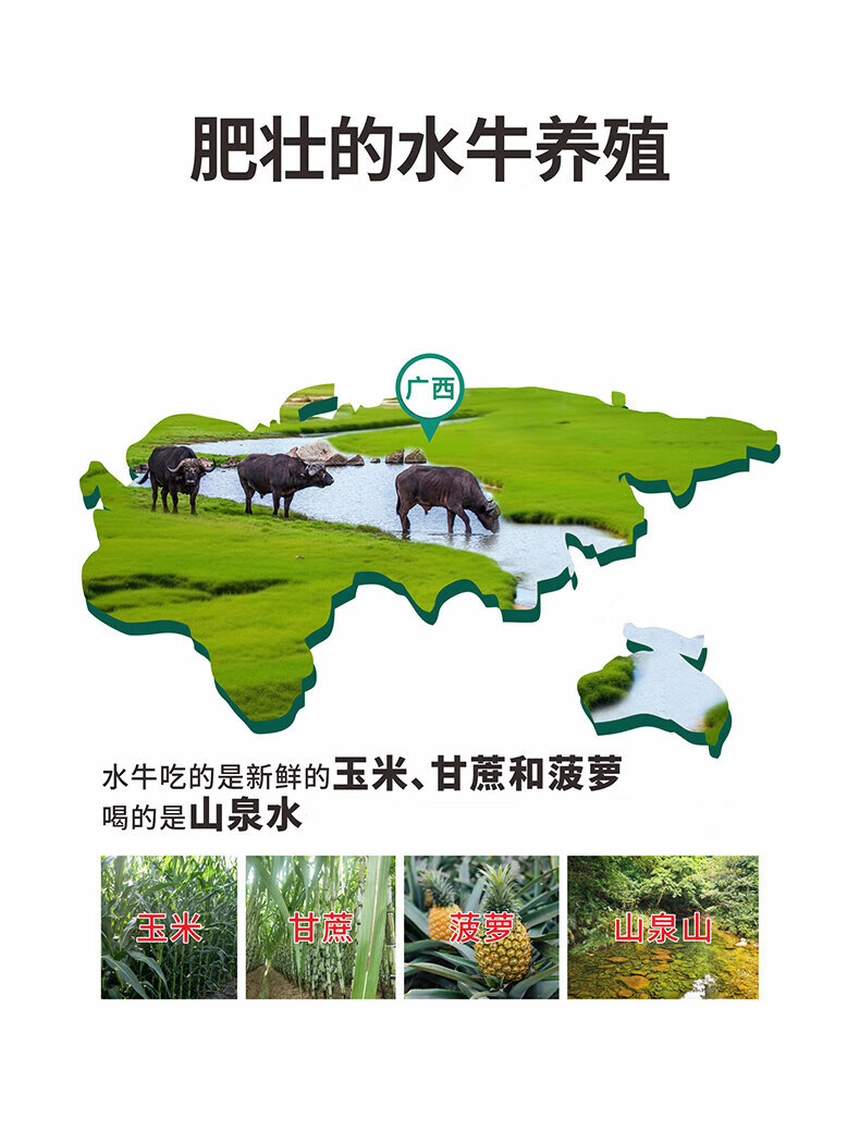 安享好物 安享B级纯奶-养力水牛奶  