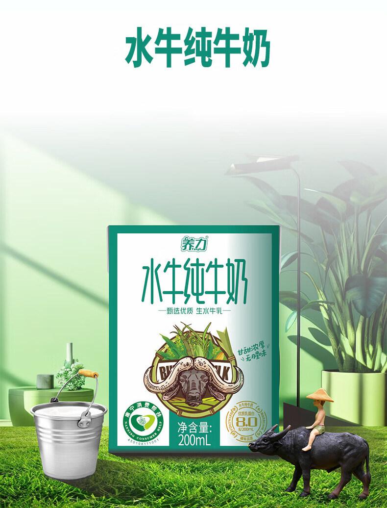 安享好物 安享B级纯奶-养力水牛奶  