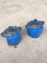 Donggao BB-B16N BB-B20N BB-B25N BB-B32N Cycloid gear oil pump Y