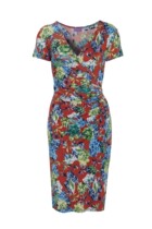 Colorful flowers V neckline with slim mesh red one-piece dress 2022 Spring paragraph Xia Yingren Little Skirt Company Workplace