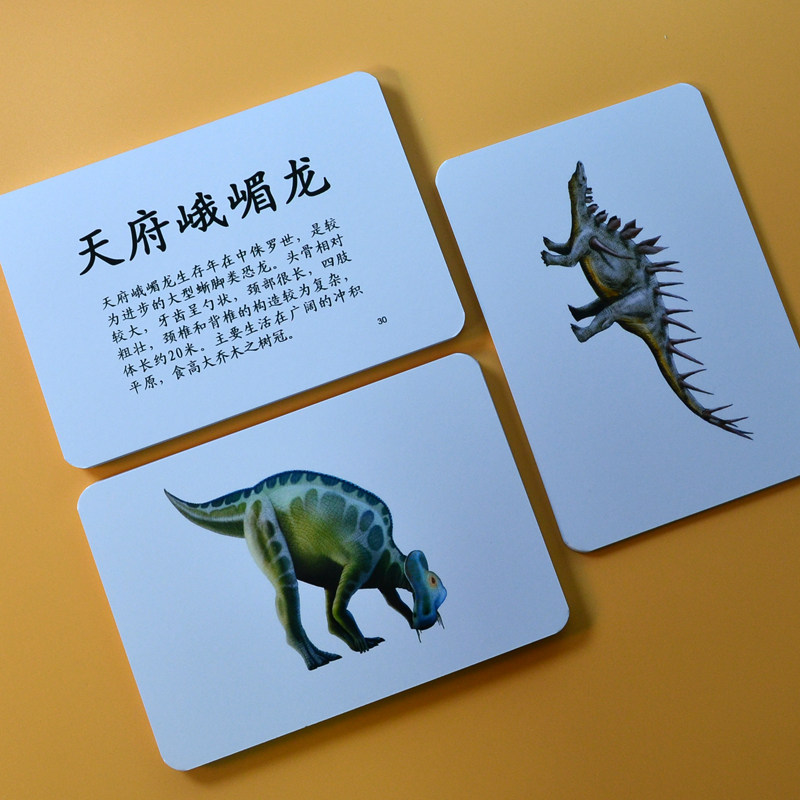 Dinosaur Card Animal Card Toddler Child Reading Literacy Early Teaching Flashcards Duman Ideas Seven Fields Type Right Brain Puzzle Toy