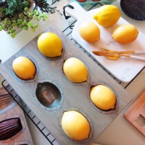 Spot Japan Chiyoda Metal CUOCA joint Lemon Silicon Processed Cake Mold
