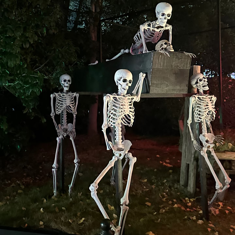 Skull Skeleton Halloween Horror Props Haunted House Escape Room Bar Shop Decoration Ornaments Scene Setup