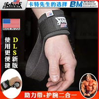 American Schiek Sports Fitness Fine Forun