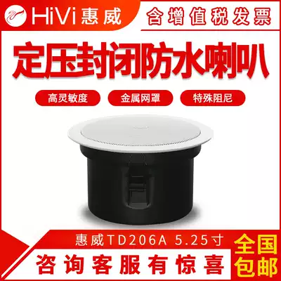 Hivi whiwei TD206A 205A constant pressure top speaker cosmetic room ceiling audio bathroom waterproof speaker
