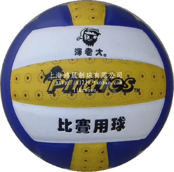 Ballon de volley - Ref 2014935 Image 8