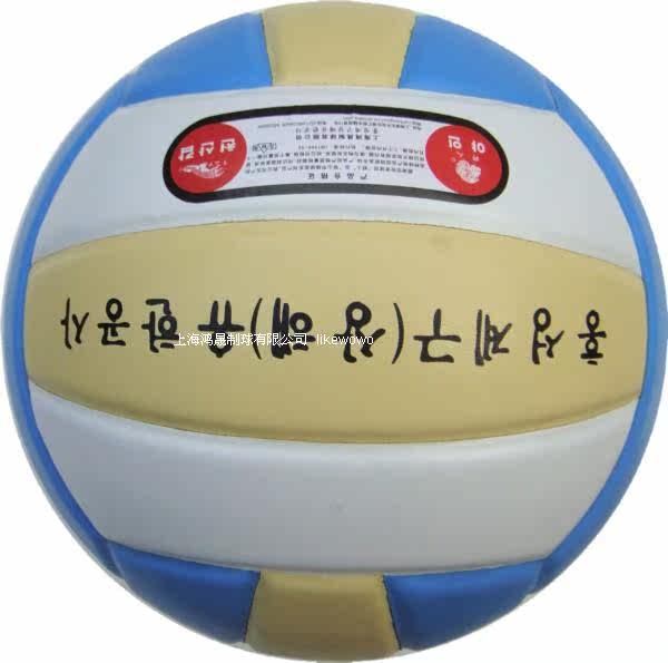 Ballon de volley-ball - Ref 2015465 Image 9