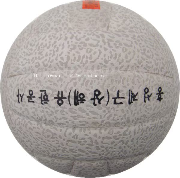 Ballon de volley-ball - Ref 2015231 Image 6