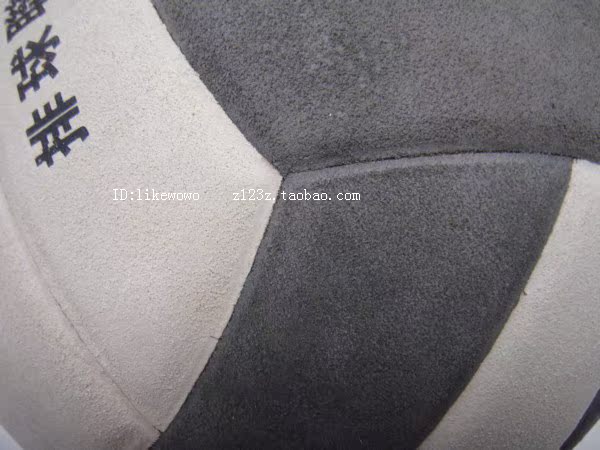 Ballon de volley - Ref 2015225 Image 10