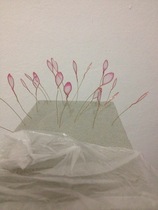 Silk mesh flower crystal flower bread flower paper flower material universal flower arrangement dried flower mud