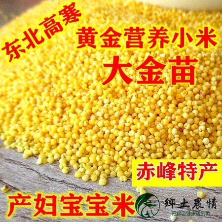 5 catty of new pure Inner Mongolia Chifeng large golden Miao yellow rice porridge rice Maternal Moon Child Nutrition Rice