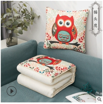 Korean version of fashion home office Dual-purpose hold pillows by car leaning pillows air conditioning by tapestry