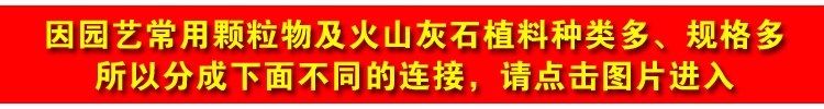 9903070000 Classified Link.jpg