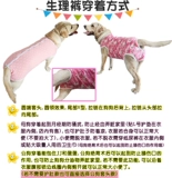 Большая собака, соединяющая физиологические штаны, все обернутые суки анти -харассирующие противозачаточные сантехнические брюки и уход за стерилизацией собак и уход за стерилизацией собак